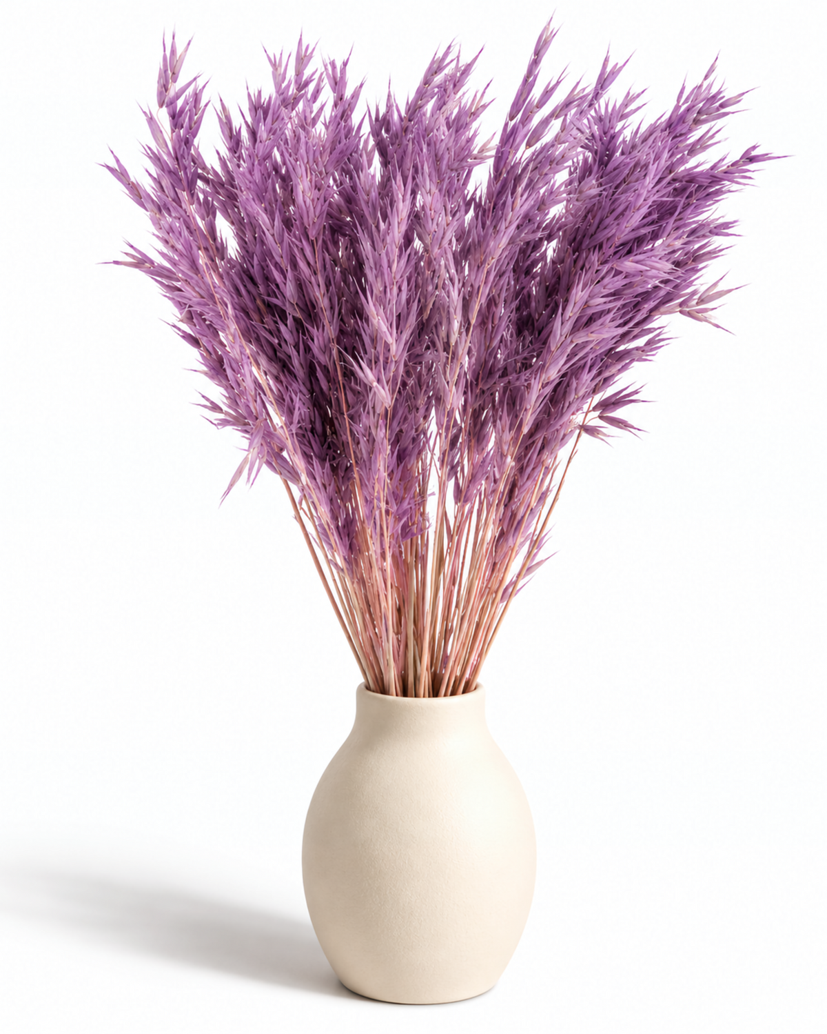 Dried Purple Oats Bunch - 100 g / 50 cm