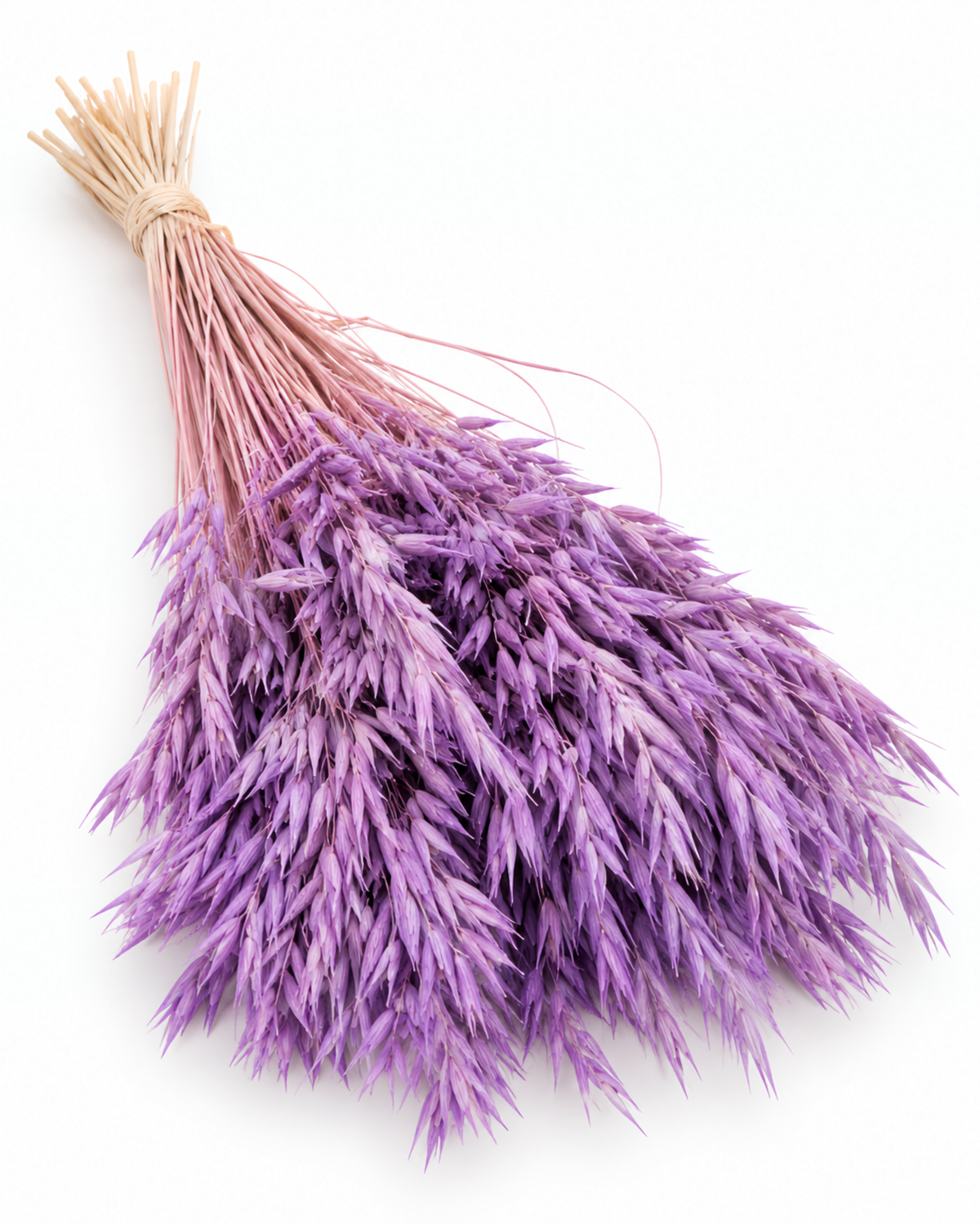 Dried Purple Oats Bunch - 100 g / 50 cm