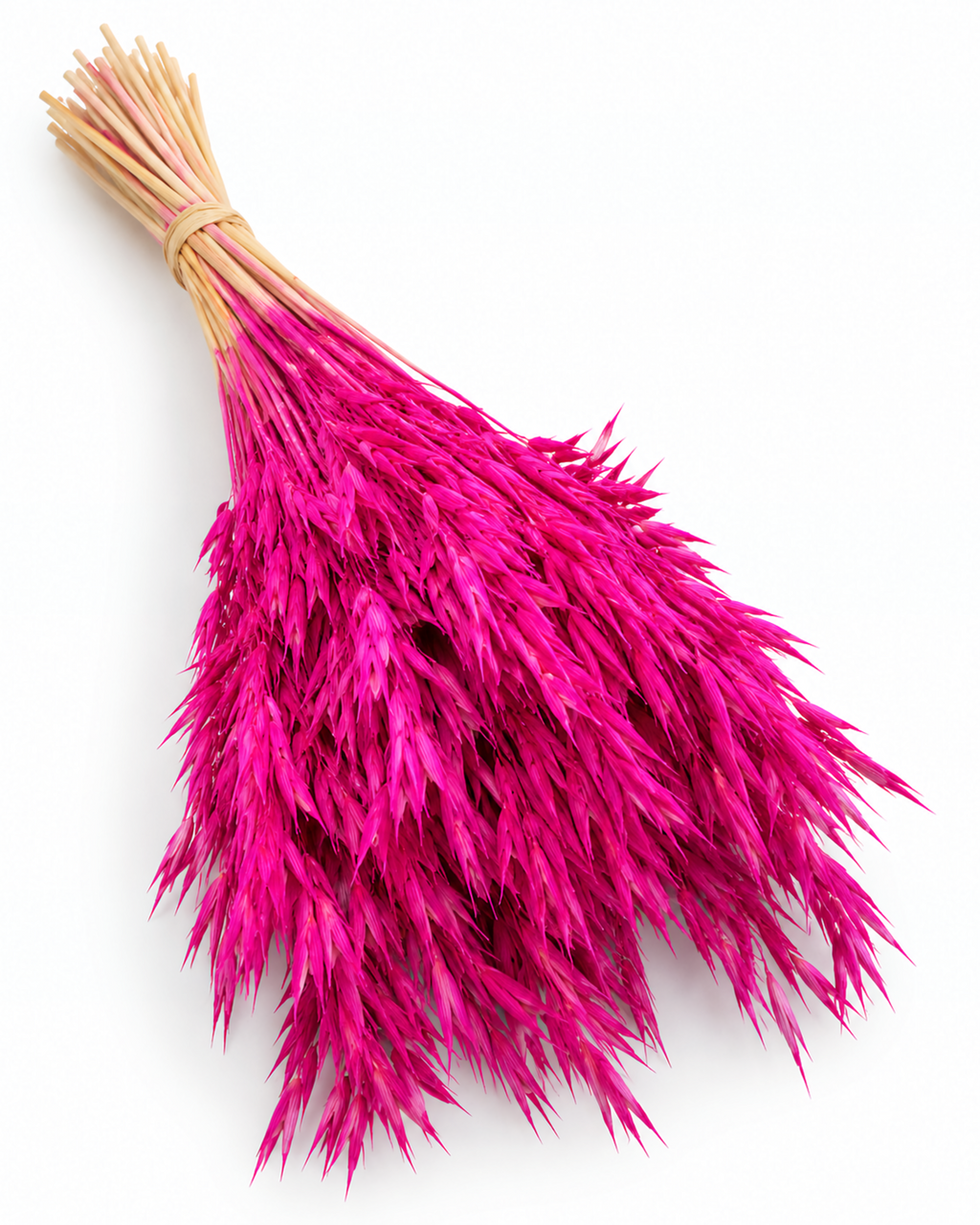 Dried Oats Bunch - Amaranth - 100 g / 50 cm