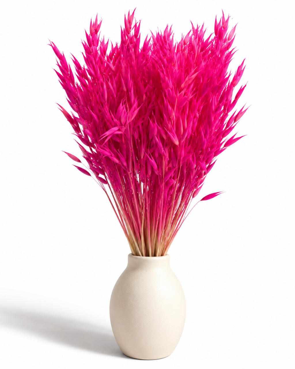 Dried Oats Bunch - Amaranth - 100 g / 50 cm