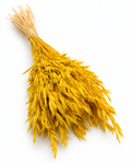 Dried Yellow Oats Bunch - 80-90 g / 50 cm