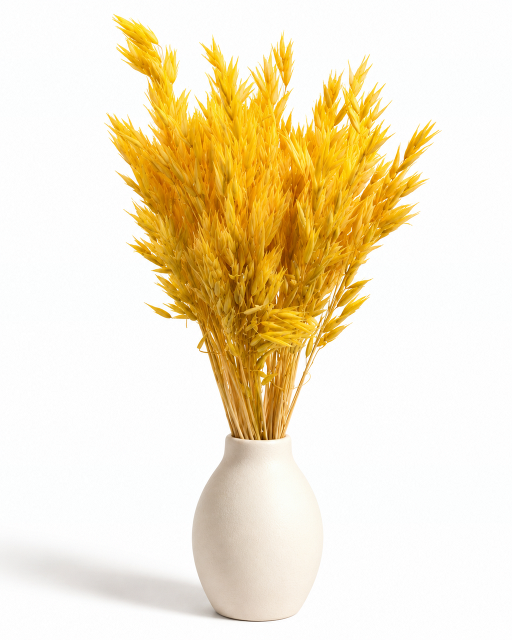 Dried Yellow Oats Bunch - 80-90 g / 50 cm