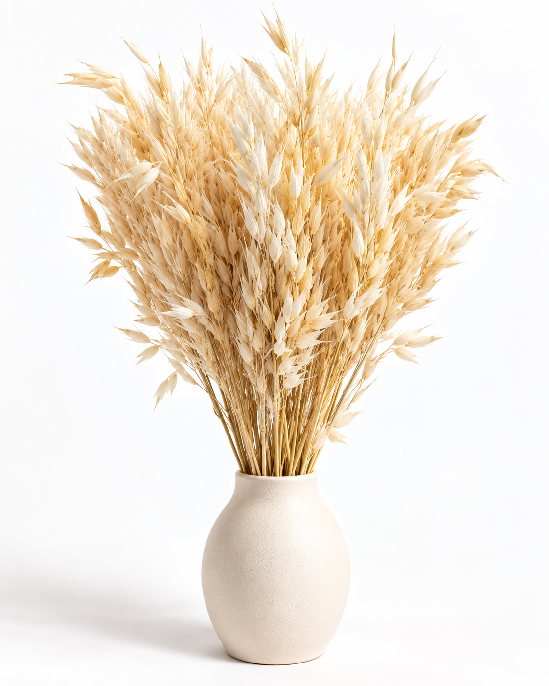Dried Bleached Oats Bunch - 100 g / 50 cm