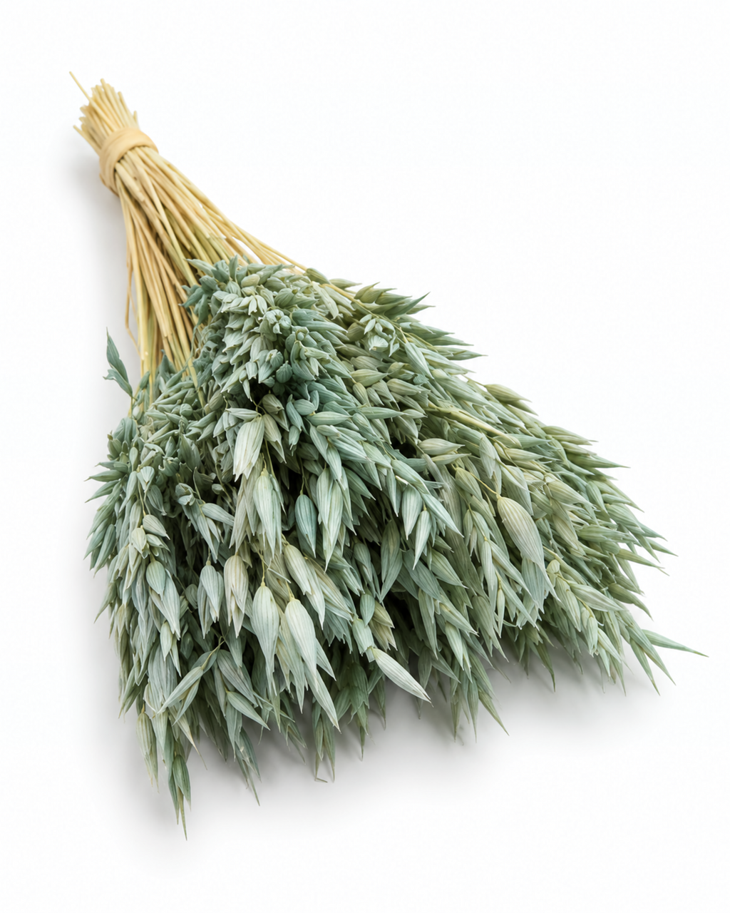 Dried Mint Oats Bunch - 100 g / 50 cm