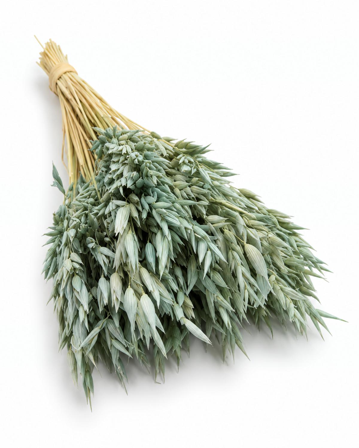 Dried Mint Oats Bunch - 100 g / 50 cm