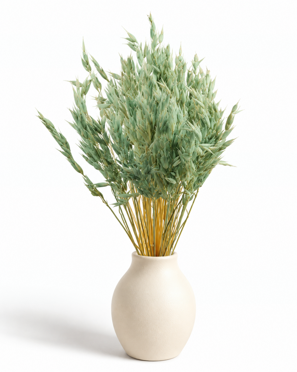 Dried Mint Oats Bunch - 100 g / 50 cm