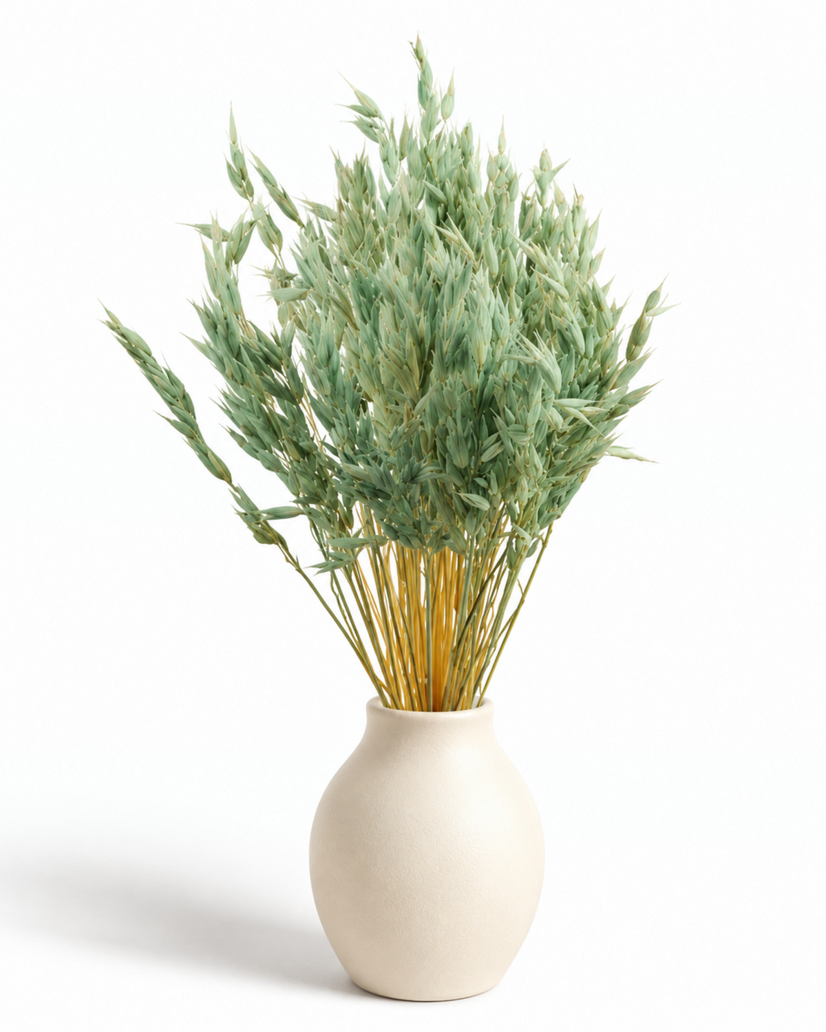 Dried Mint Oats Bunch - 100 g / 50 cm