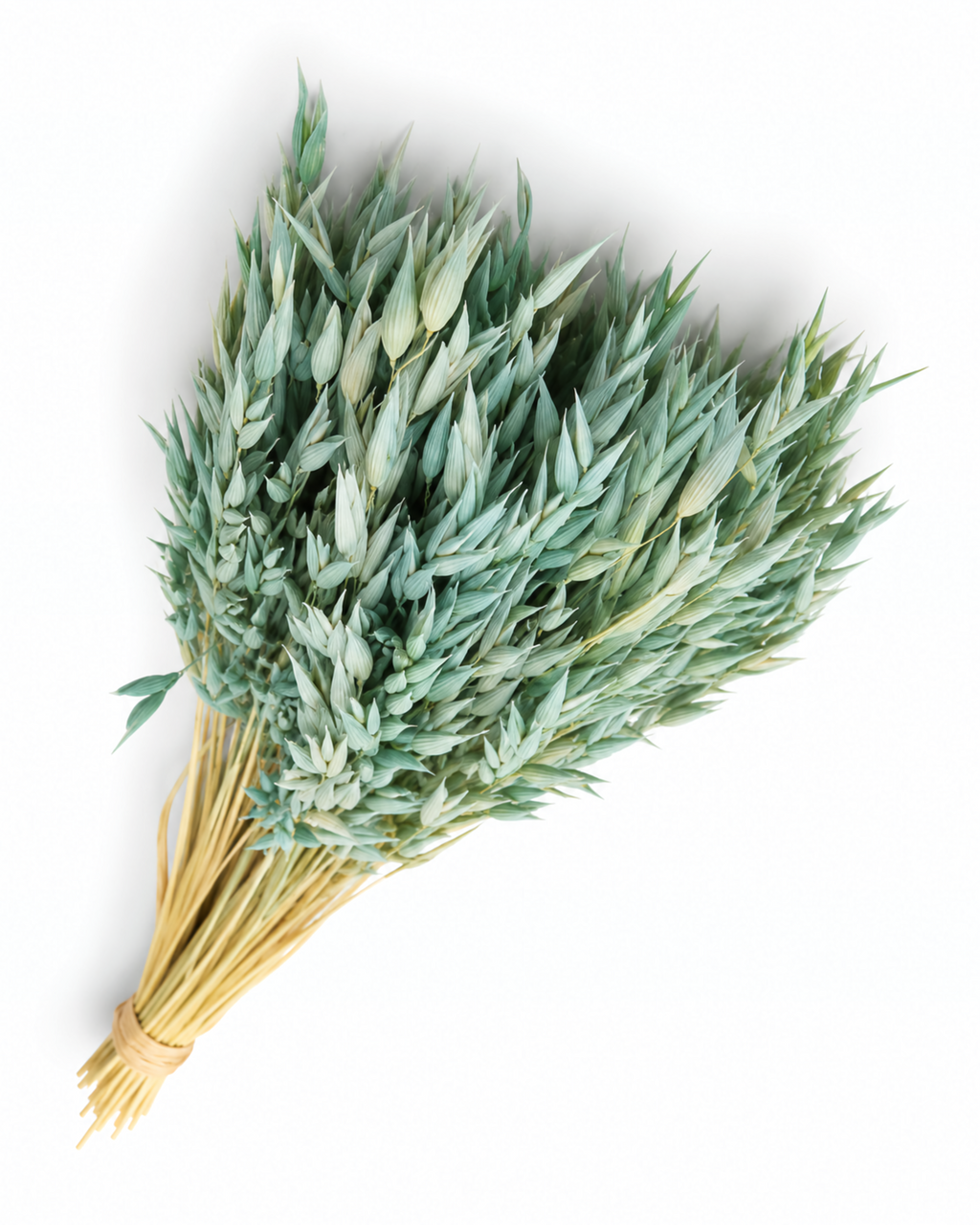 Dried Mint Oats Bunch - 100 g / 50 cm