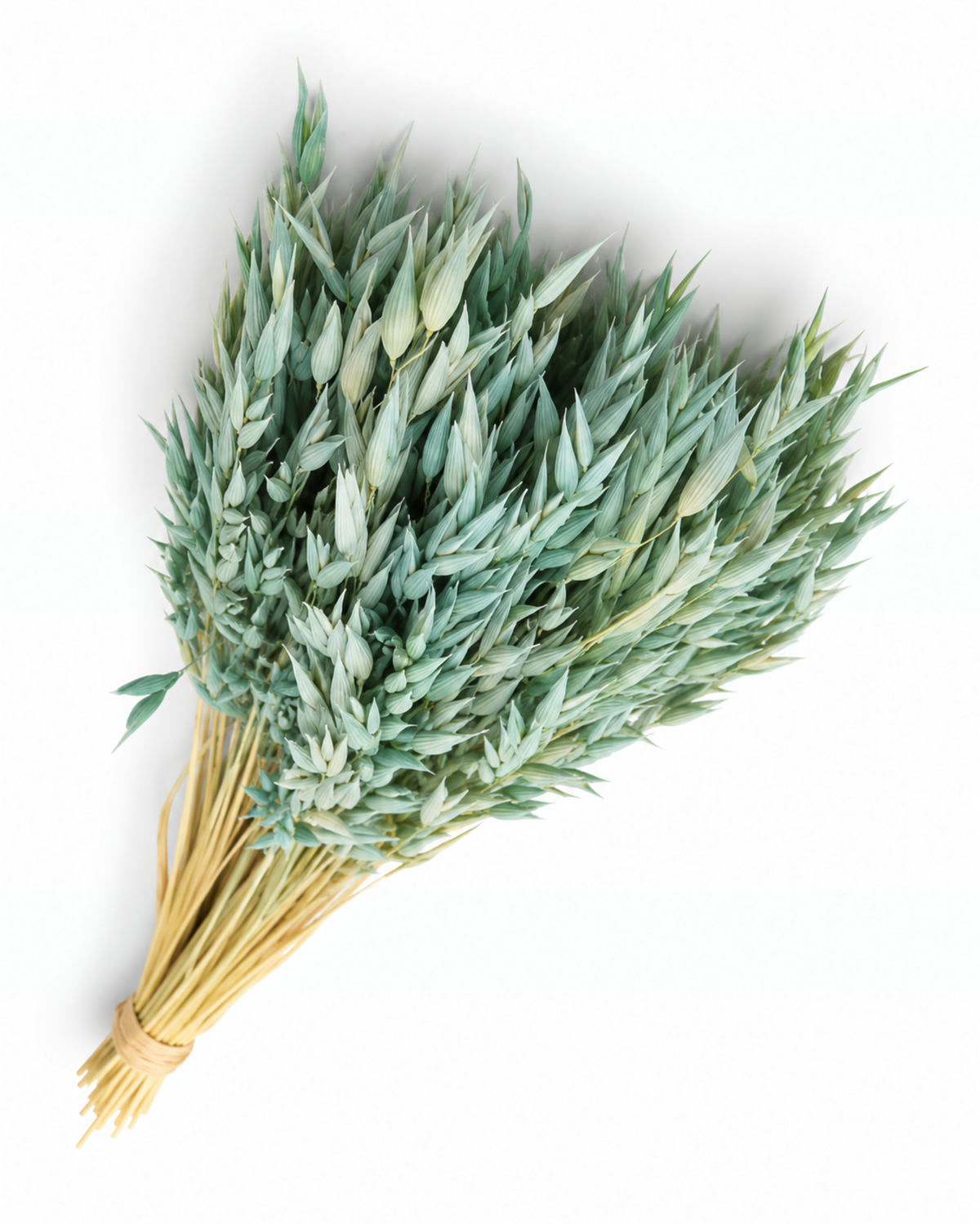 Dried Mint Oats Bunch - 100 g / 50 cm