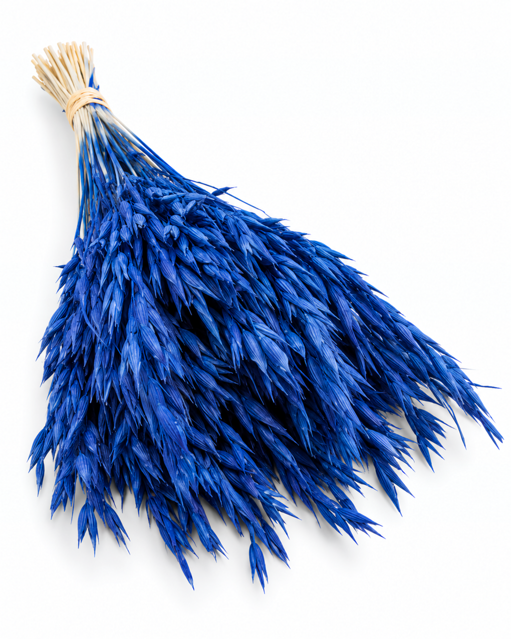 Dried Navy Blue Oats Bunch - 100 g / 50 cm