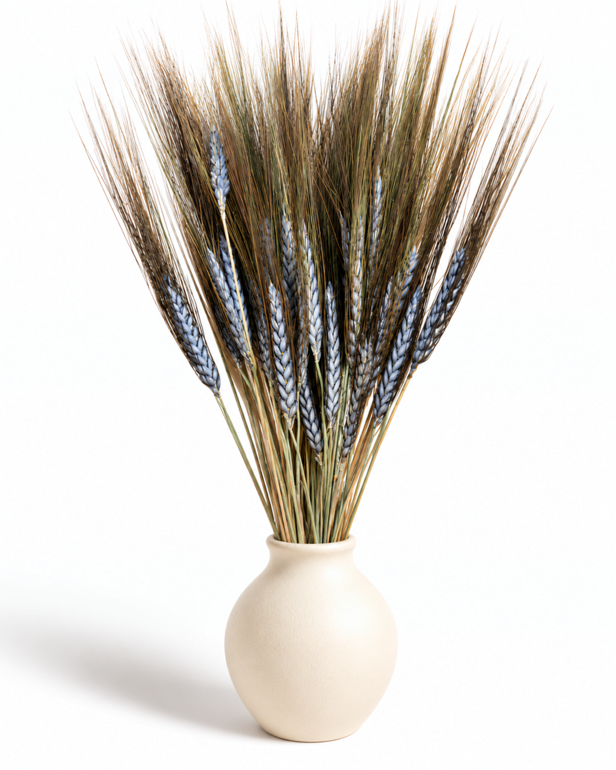 Dried Natural Black Grain Wheat 25 Stems - 50-55cm Bunch