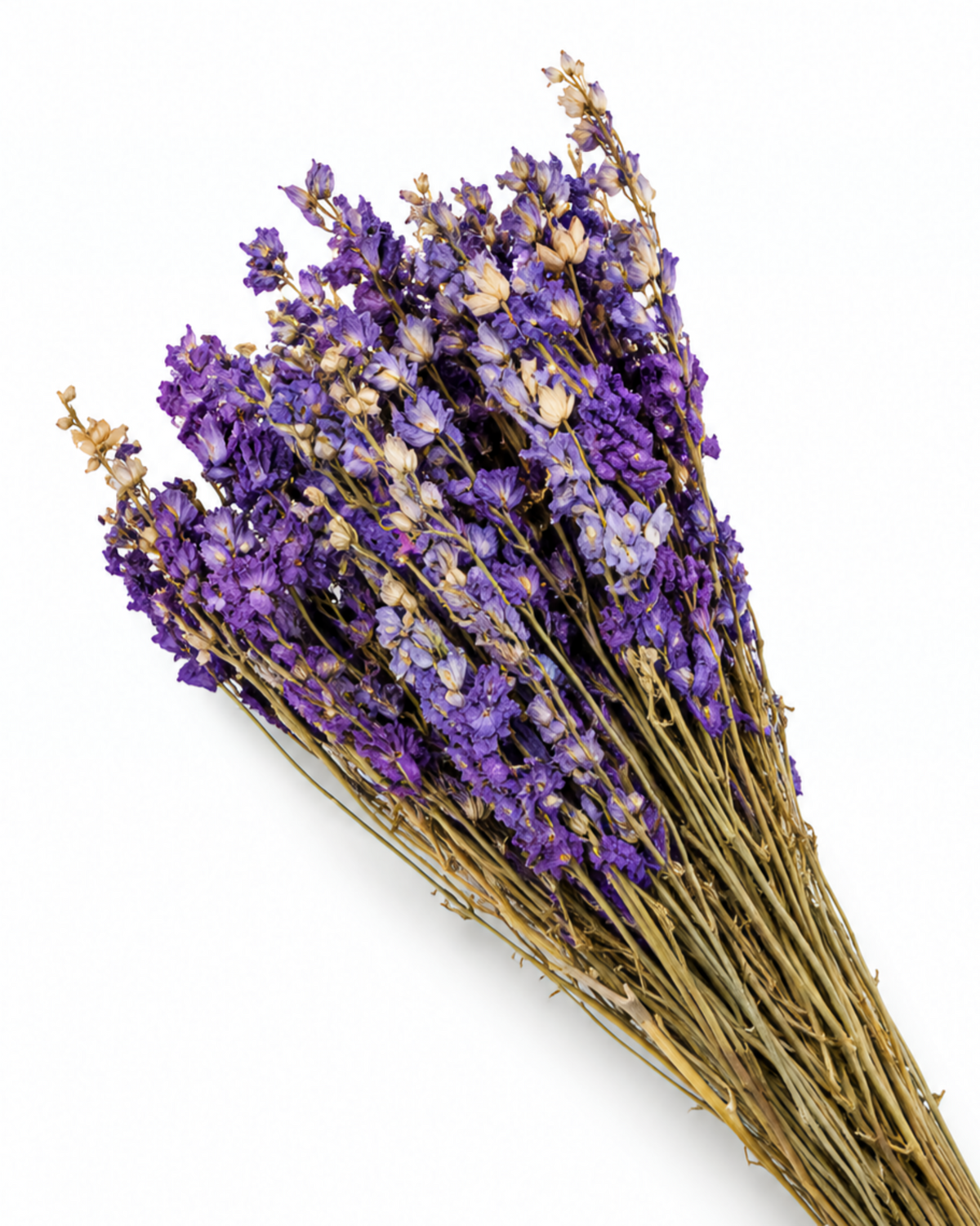 Dried Blue Larkspur Bunch - Delphinium - 80 g / 35 cm