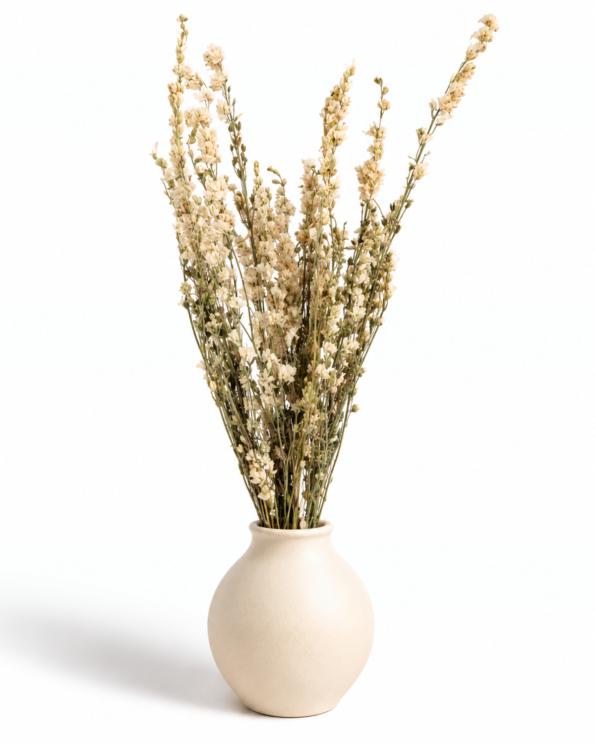 Dried White Larkspur Bunch - Delphinium - 80 g / 60 cm
