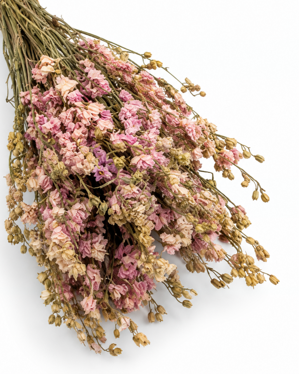 Dried Pink Larkspur Bunch - Delphinium - 60 g / 40 cm
