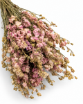Dried Pink Larkspur Bunch - Delphinium - 60 g / 40 cm
