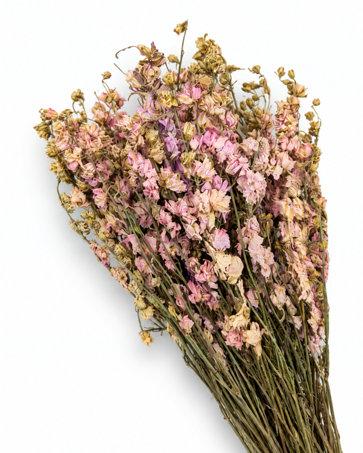Dried Pink Larkspur Bunch - Delphinium - 60 g / 40 cm