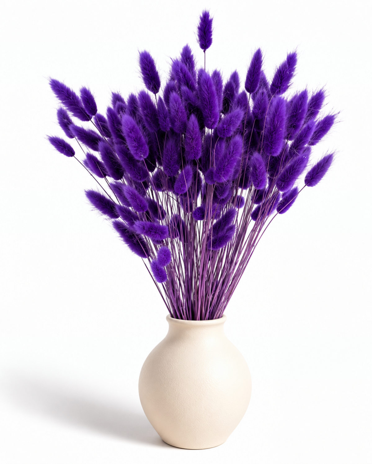 Dried Lagurus Bunny Tails Bunch - Purple - 50 Stems / 60 cm