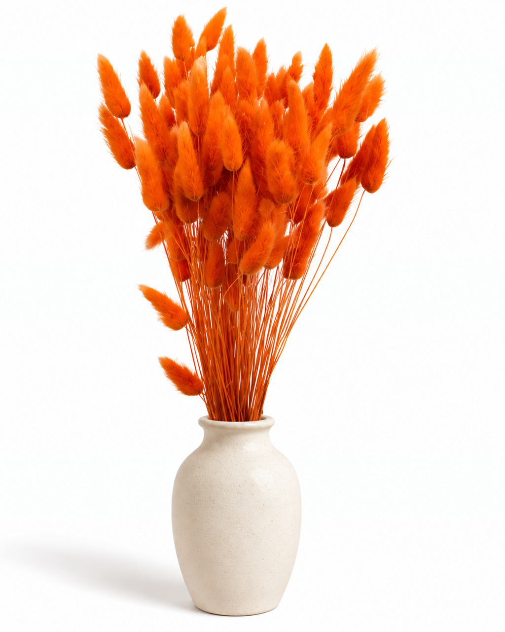 Terracotta Lagurus Stems, Preserved Bunny Tails Bundle