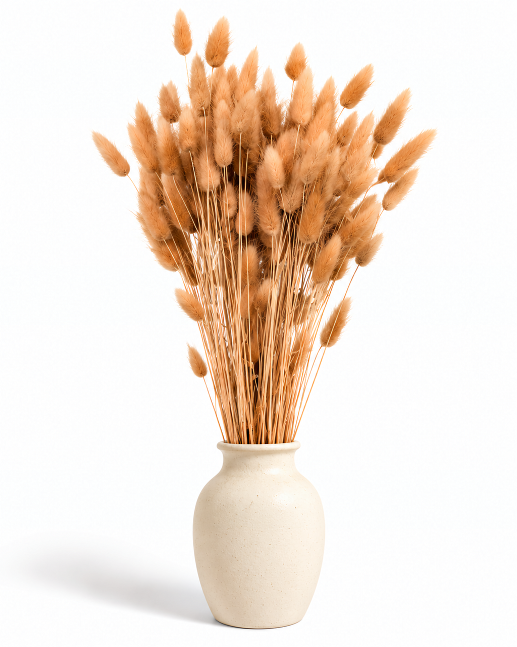 Preserved Lagurus — Caramel Brown