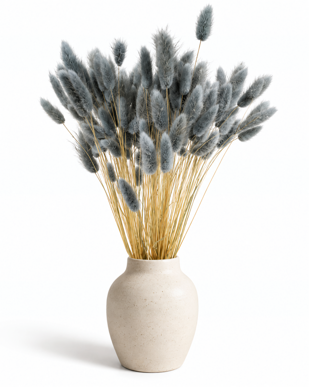 Dried Lagurus Bunny Tails Bunch - Grey - 50 Stems / 60 cm