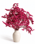 Dried Magenta Limonium Stems - 20-25cm Tartarian Statice Bunch (3 Stems) - Dried Flower Stems - Flor Chama Do Algarve
