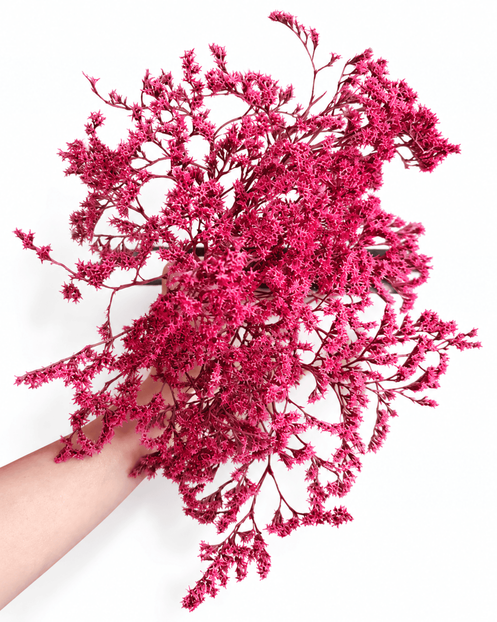Dried Magenta Limonium Stems - 20-25cm Tartarian Statice Bunch (3 Stems) - Dried Flower Stems - Flor Chama Do Algarve
