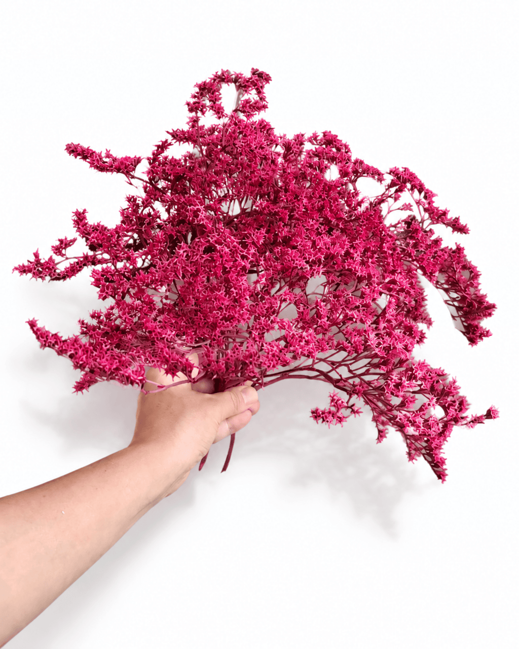 Dried Magenta Limonium Stems - 20-25cm Tartarian Statice Bunch (3 Stems) - Dried Flower Stems - Flor Chama Do Algarve