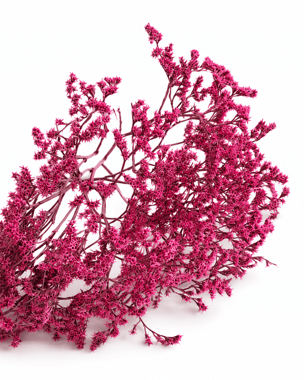 Dried Magenta Limonium Stems - 20-25cm Tartarian Statice Bunch (3 Stems) - Dried Flower Stems - Flor Chama Do Algarve