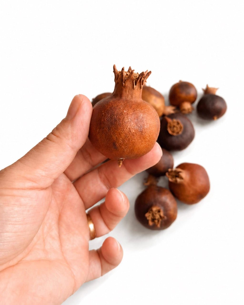 Hand holding three natural dried mini pomegranates showing size scale and rich brown color[span_1](start_span)[span_1](end_span).
