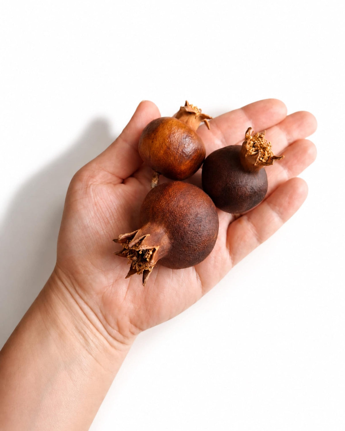 Hand holding three natural dried mini pomegranates showing size scale and rich brown color[span_1](start_span)[span_1](end_span).
