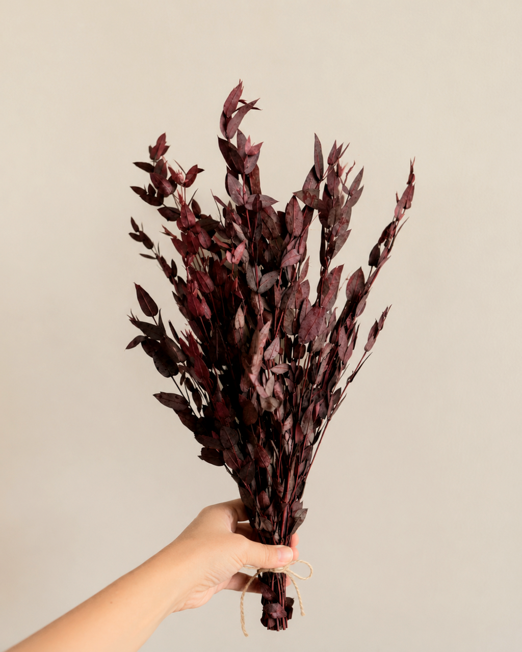 Premium Burgundy Preserved Eucalyptus Bundle