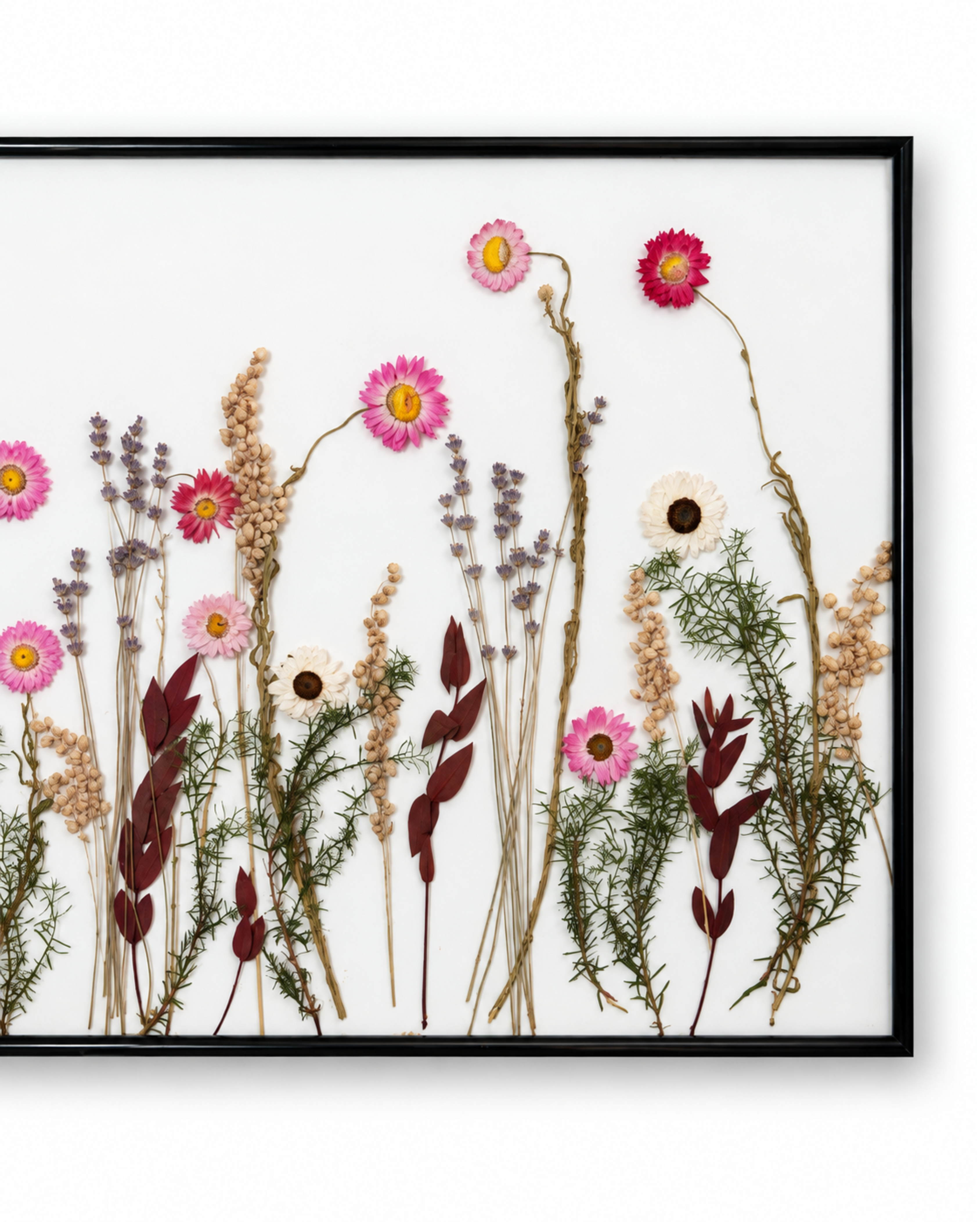 Framed Pressed Flower Art 40x50cm - Natural Dried Botanical Wall Decor