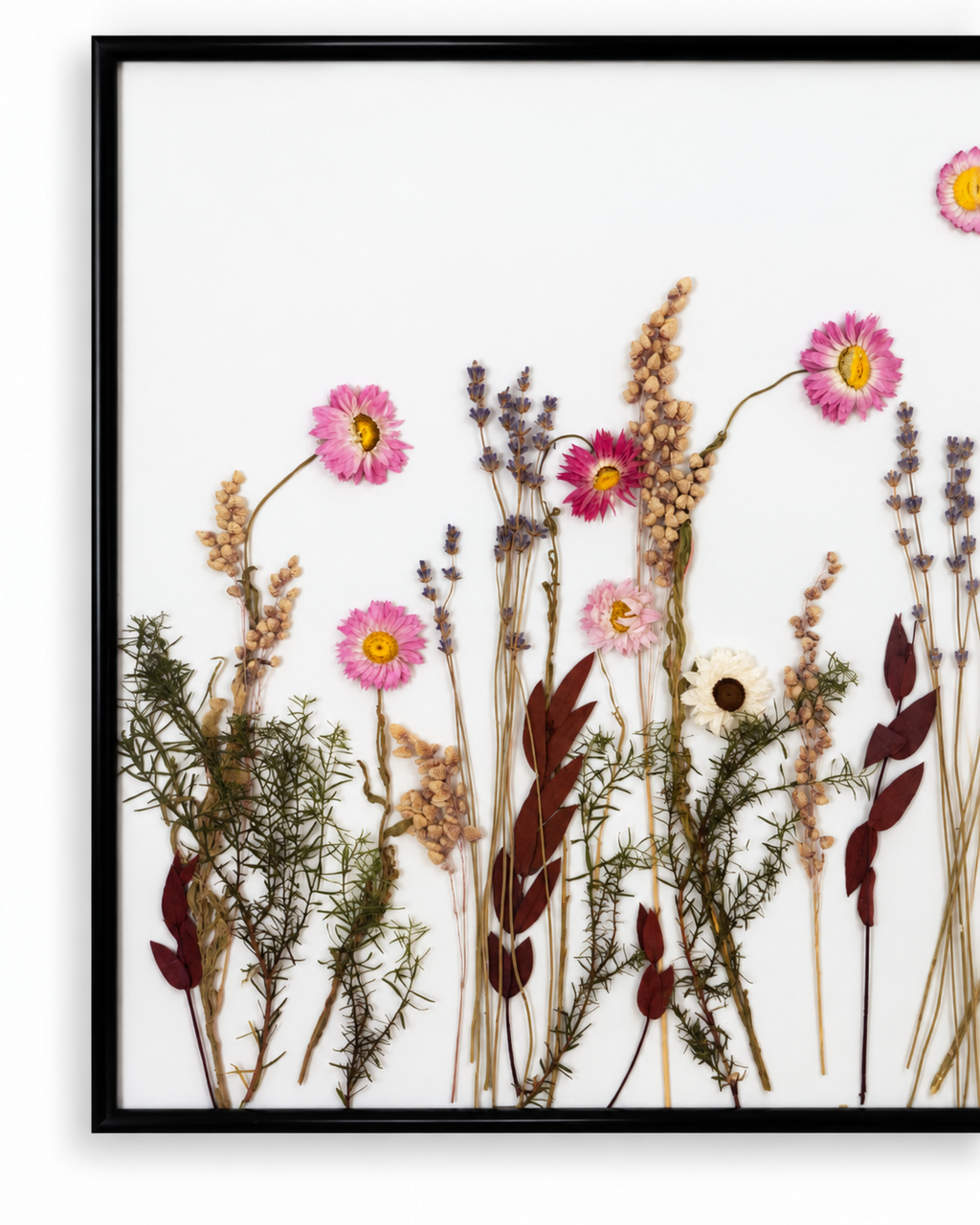 Top corner view of the black metal or wood frame containing natural pressed floral herbarium artwork.
