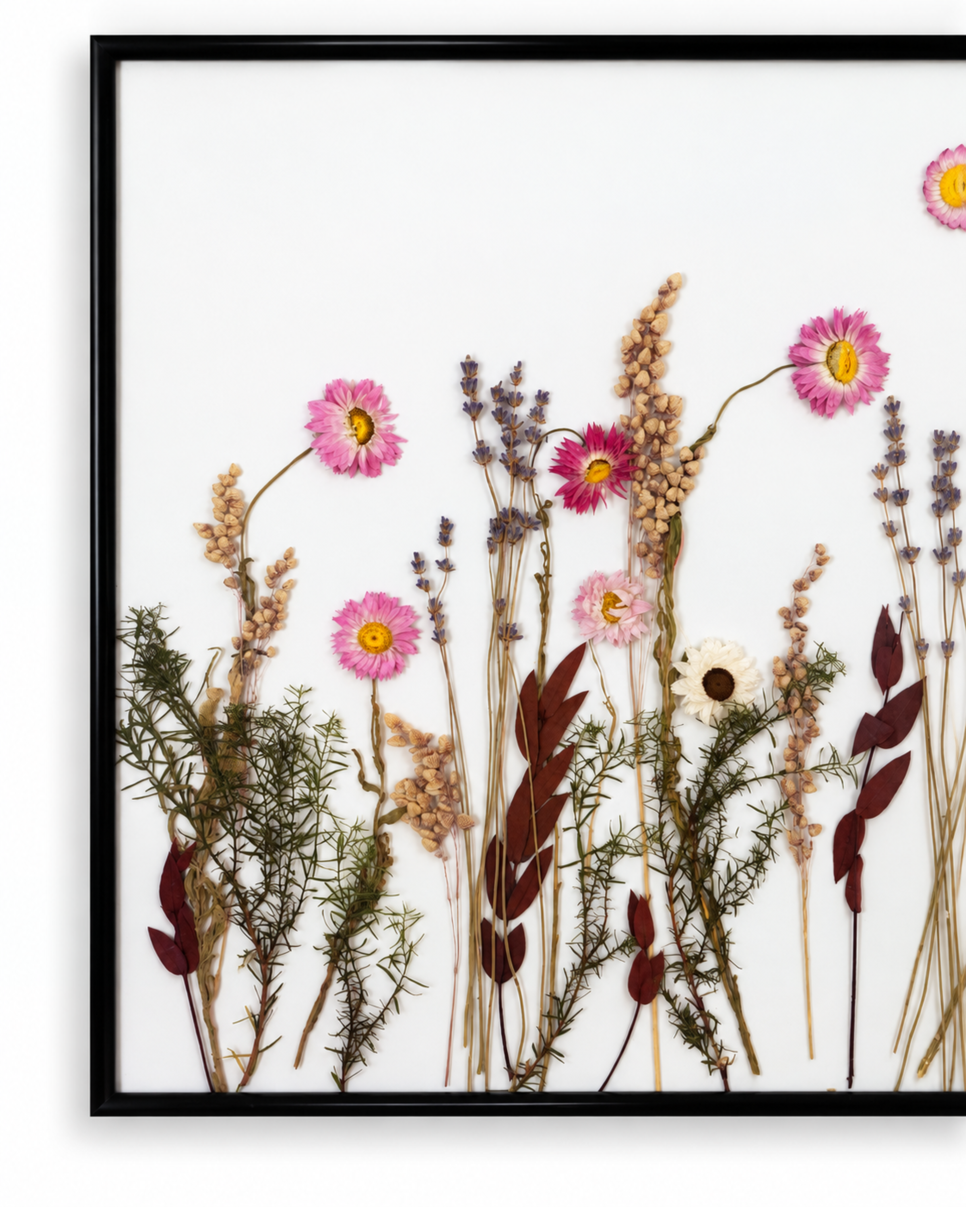 Top corner view of the black metal or wood frame containing natural pressed floral herbarium artwork.
