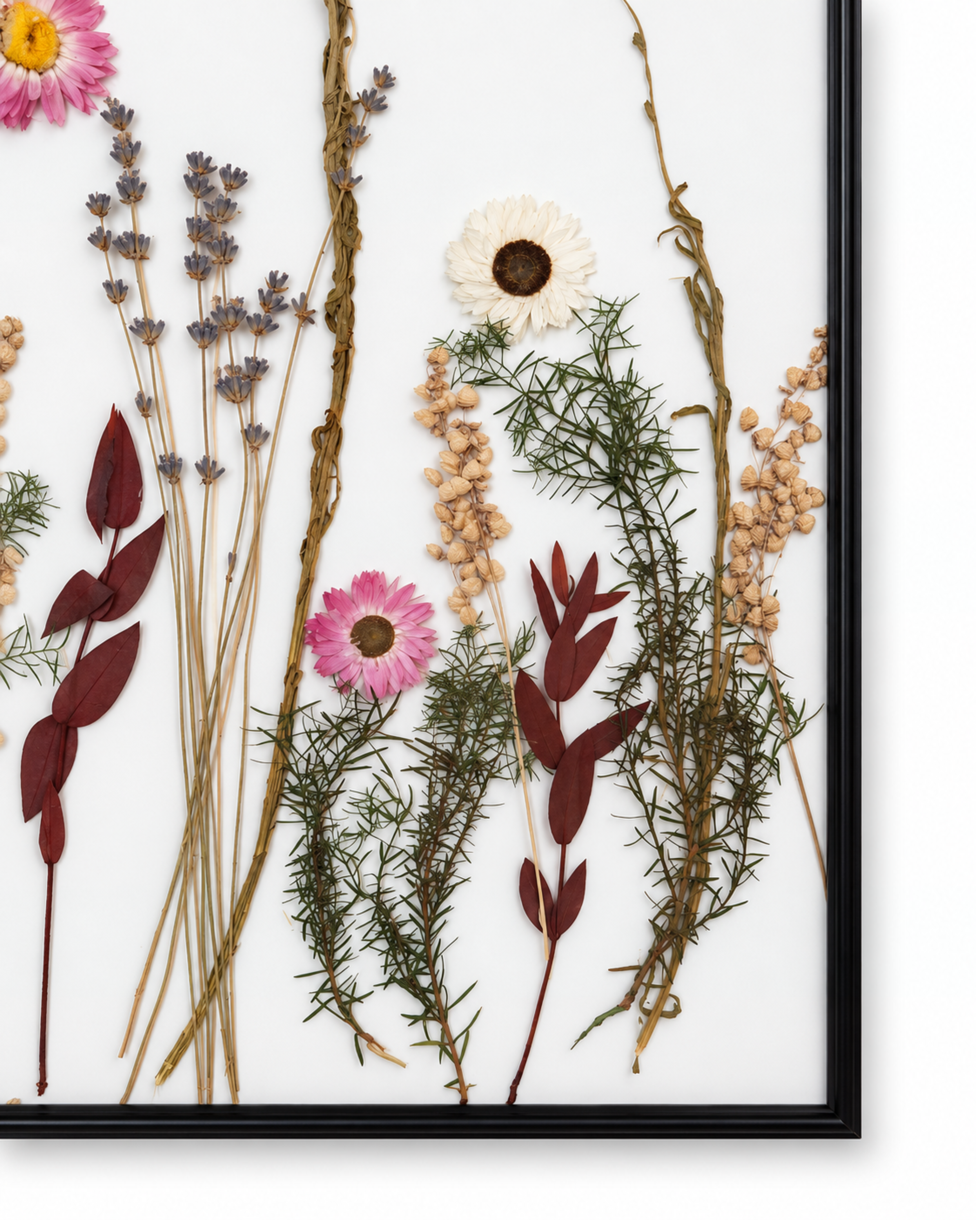 Framed Pressed Flower Art 40x50cm - Natural Dried Botanical Wall Decor