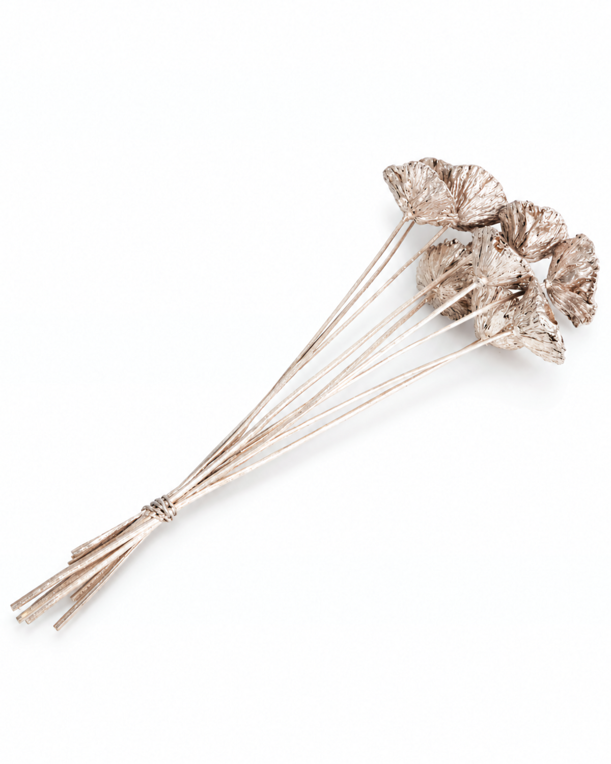 Natural wooden stems with warm gold dried lotus heads resting on white background.
