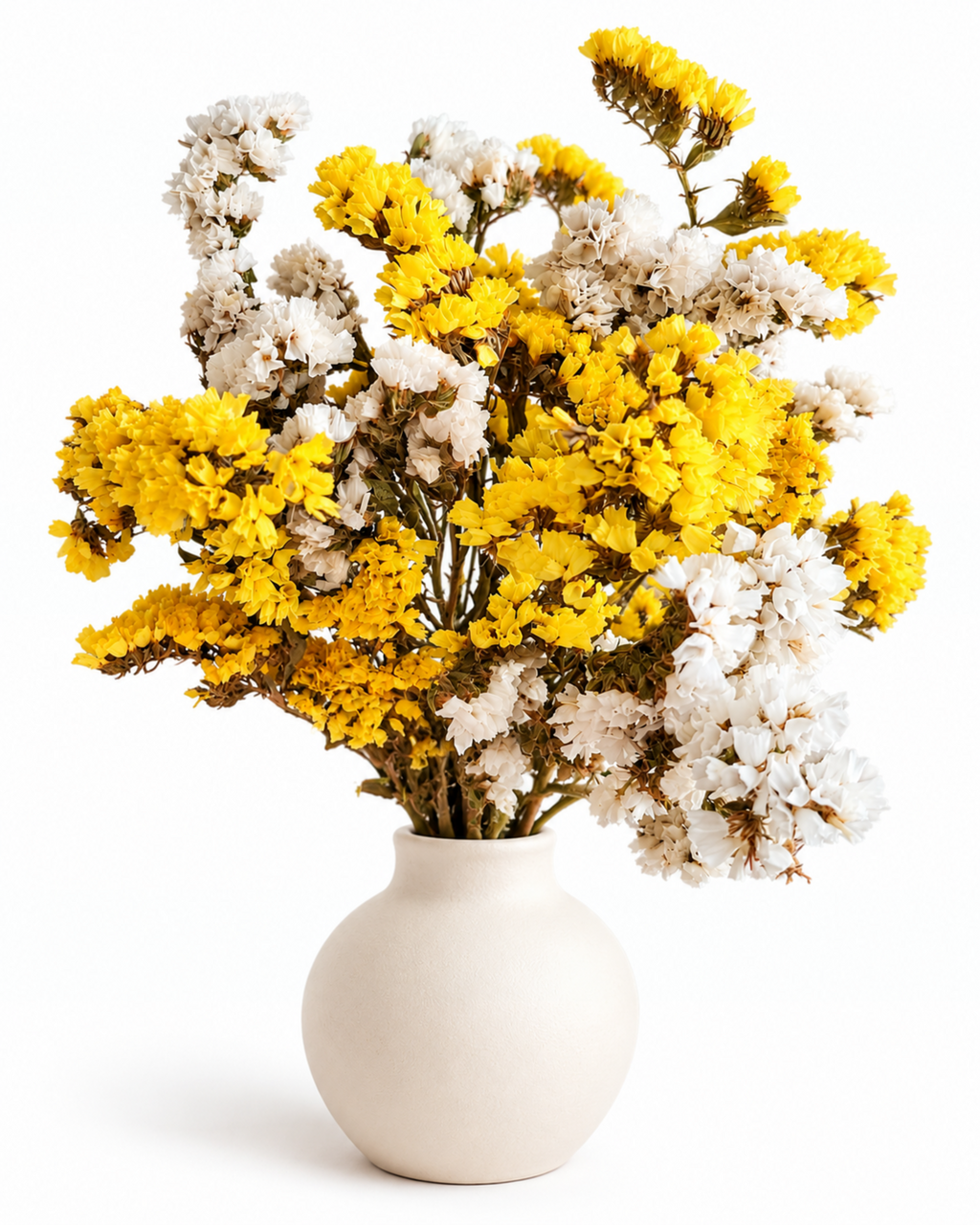 Dried Statice Bunch - Yellow White Limonium Botanicals - 45-50cm Premium Limonium Bunch (100g)