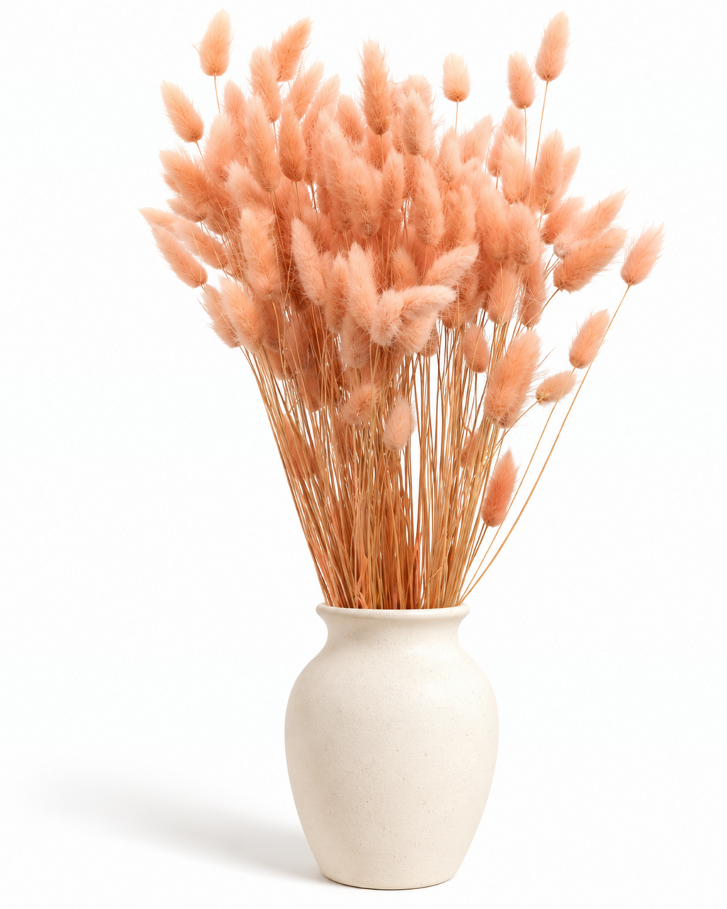 Bleached White and Ash Grey Lagurus Stems, Dried Bunny Tails