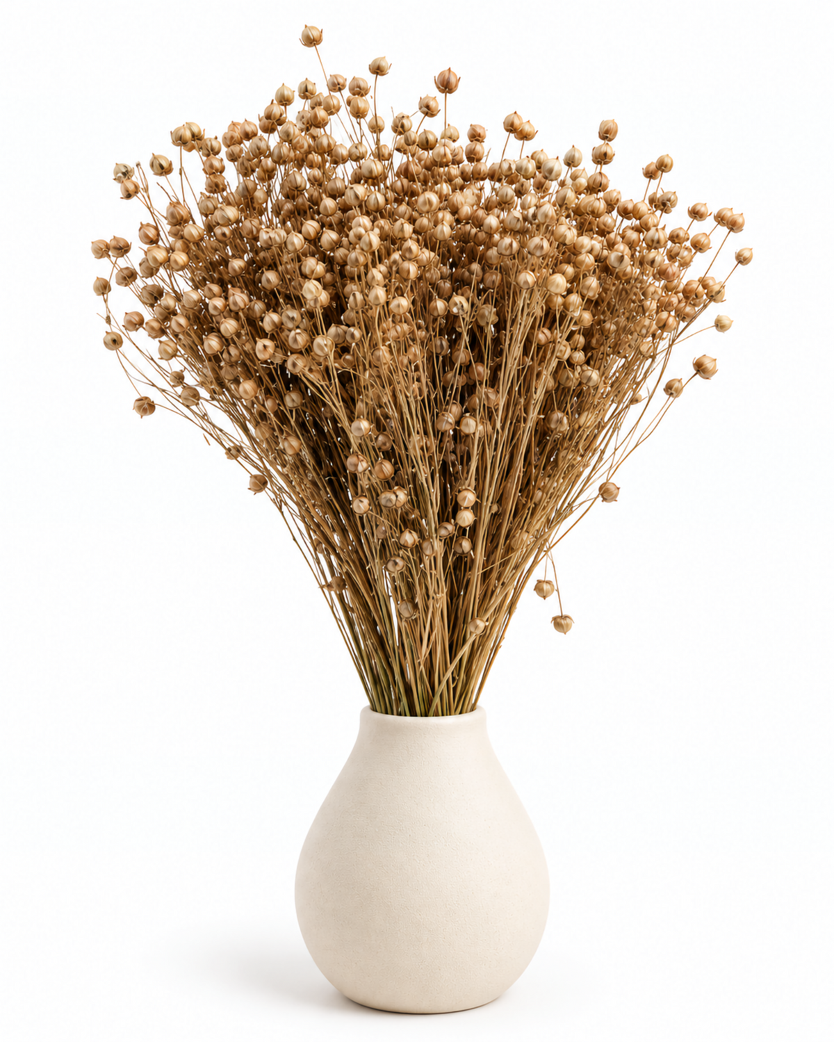 Gold Dried Flax Stems - Linum - 95 g / 40 cm