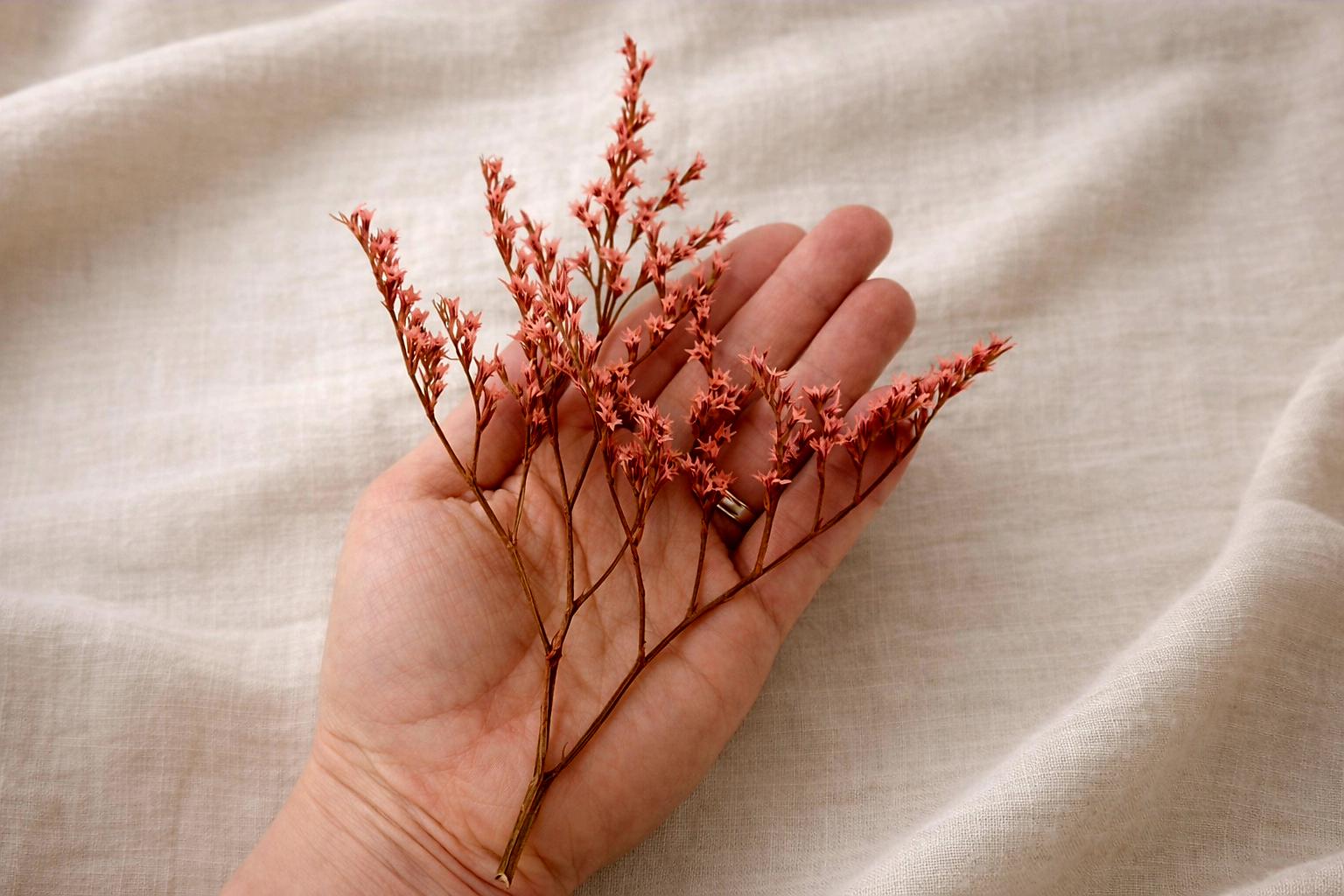 Dried Flowers for Crafts – Stabilized Tatarian Limonium, Decorative Material