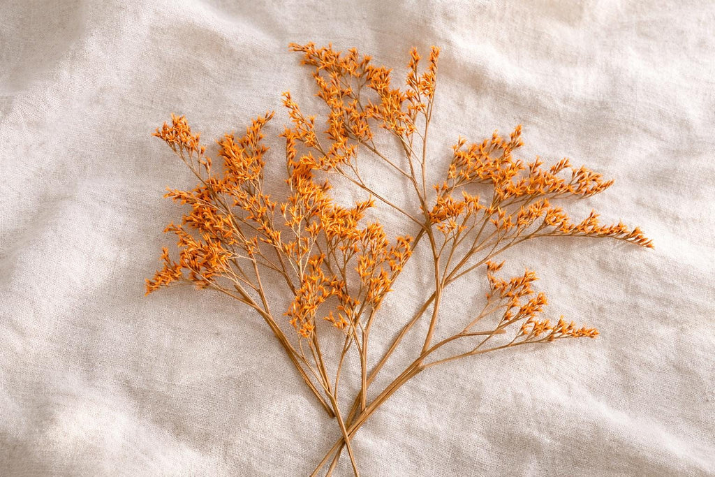 Orange Preserved Branches for Craft, Dried Floral Decor, Wedding DIY Supply