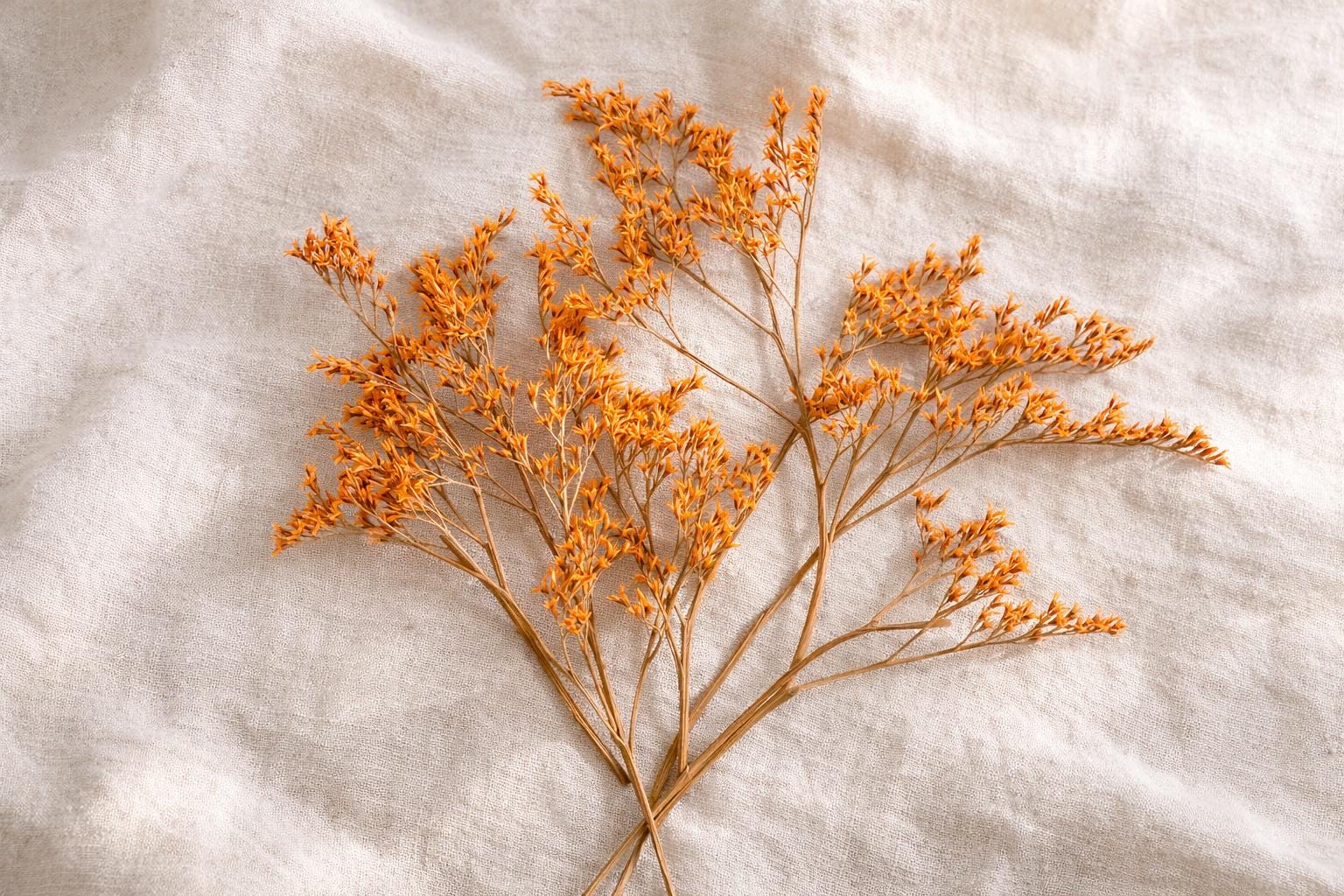 Orange Preserved Branches for Craft, Dried Floral Decor, Wedding DIY Supply
