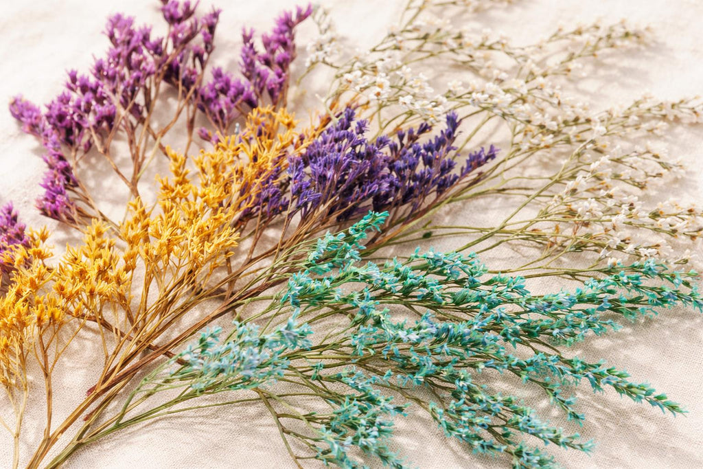 German Statice Dried Flowers Mix – 10 Stems, 5 Colors – Preserved Limonium for Crafts, DIY Decor, Floral Arrangements
