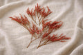 Dried Flowers for Crafts – Stabilized Tatarian Limonium, Decorative Material