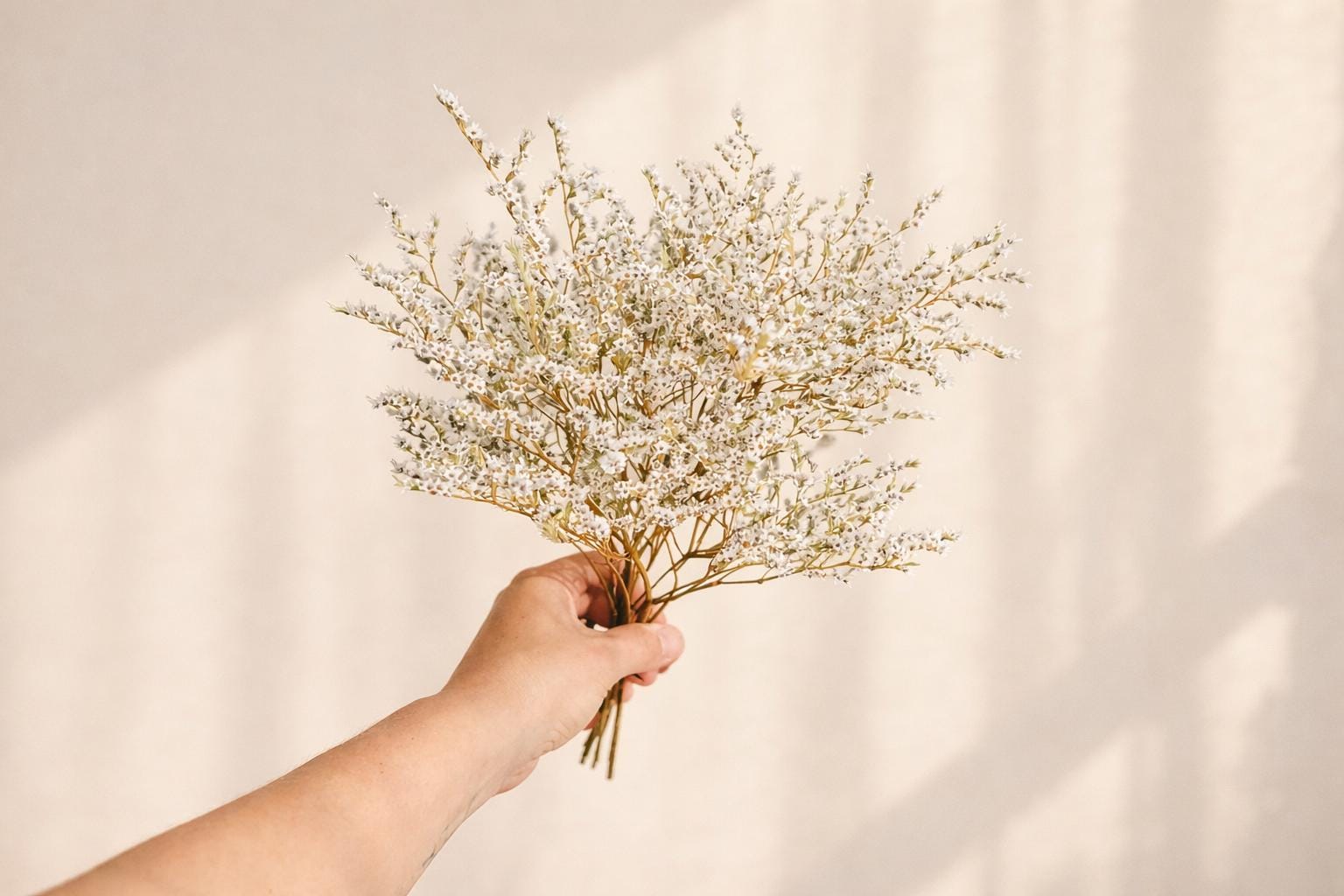 Stabilized Tatar Limonium | Natural Dried Flower 20–25 cm | Fluffy Branches for Bouquets, Home Decor & Candle Making