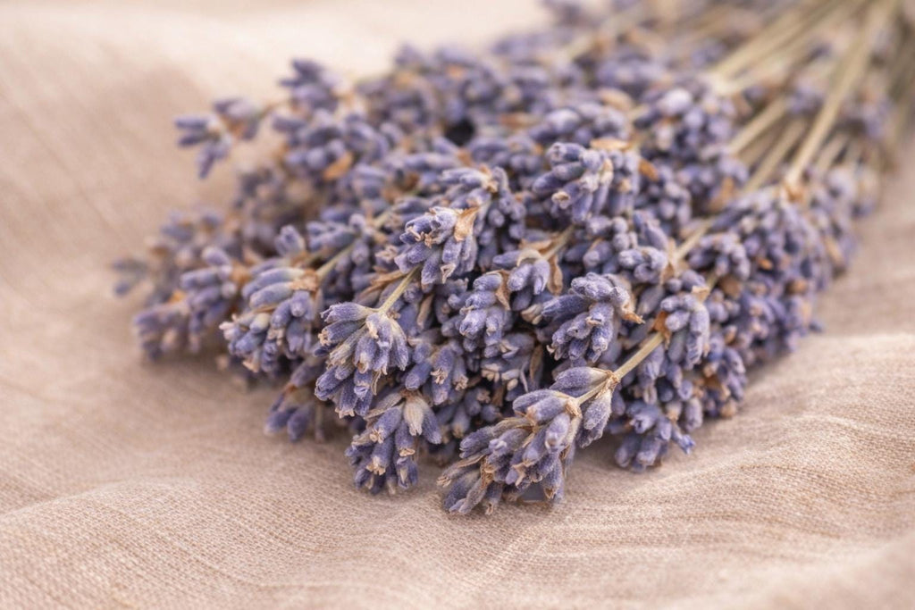 Dried Lavender Bundle 100 Stems – Natural Rustic Farmhouse Boho Decor