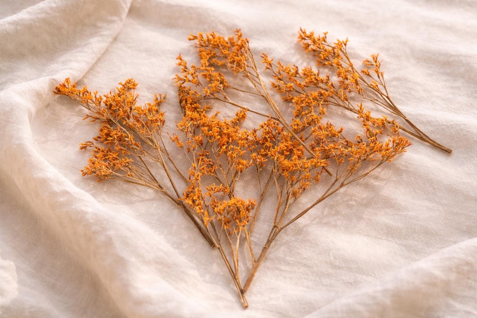 Orange Preserved Branches for Craft, Dried Floral Decor, Wedding DIY Supply