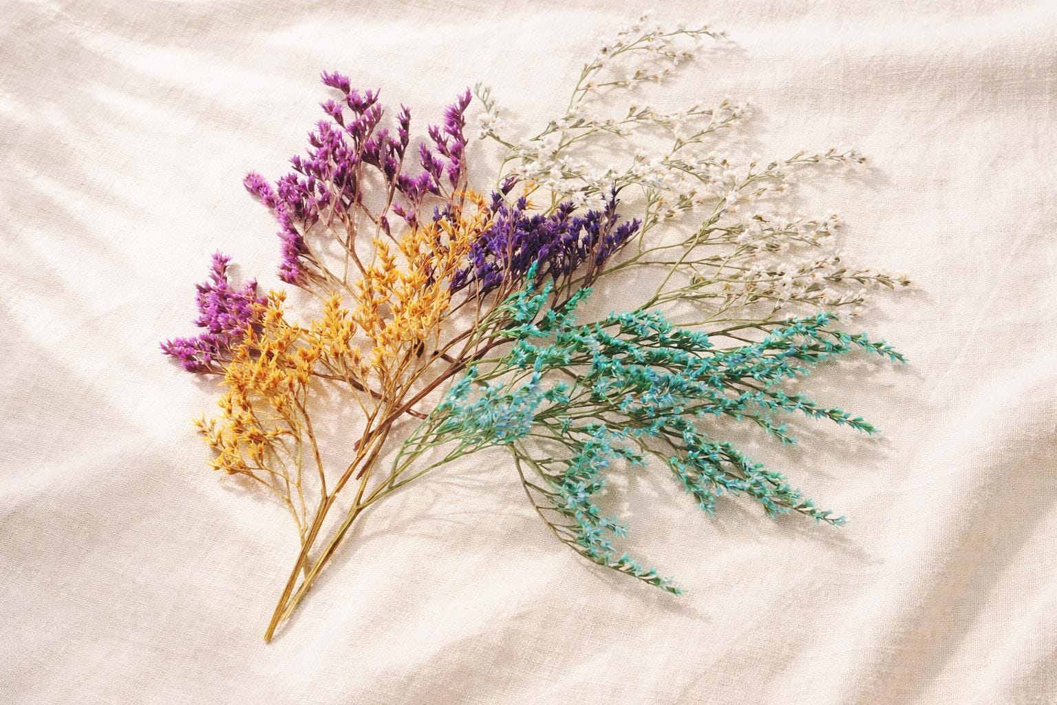German Statice Dried Flowers Mix – 10 Stems, 5 Colors – Preserved Limonium for Crafts, DIY Decor, Floral Arrangements