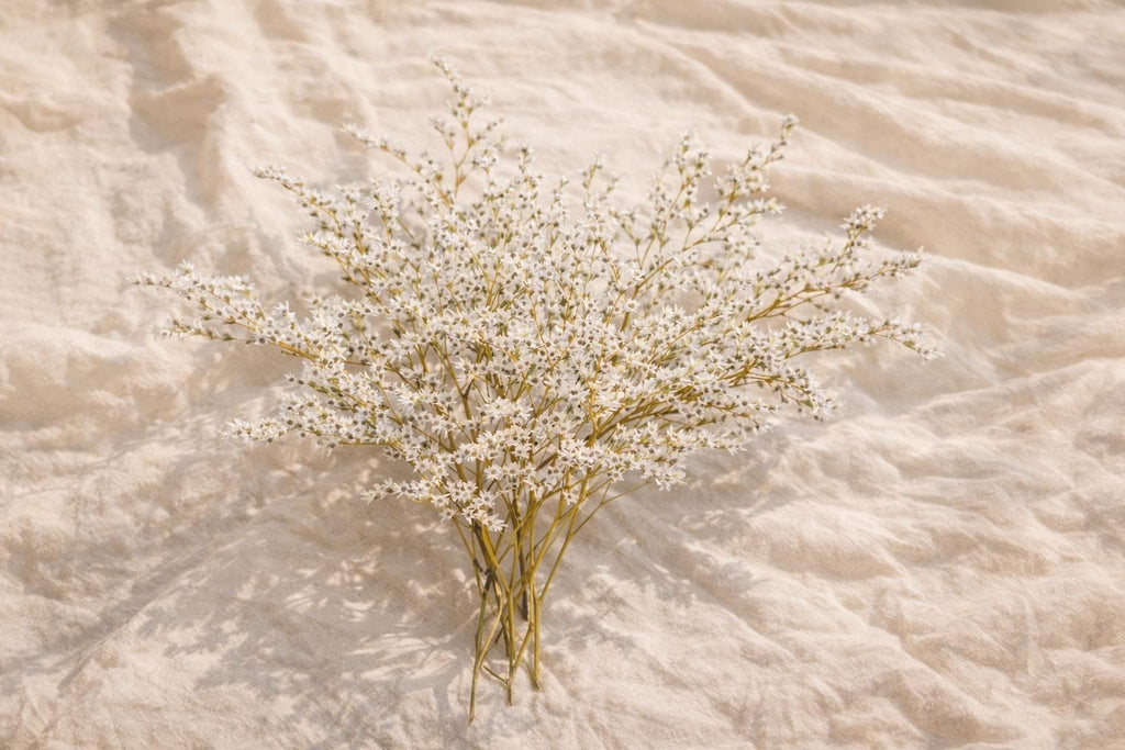 Stabilized Tatar Limonium | Natural Dried Flower 20–25 cm | Fluffy Branches for Bouquets, Home Decor & Candle Making