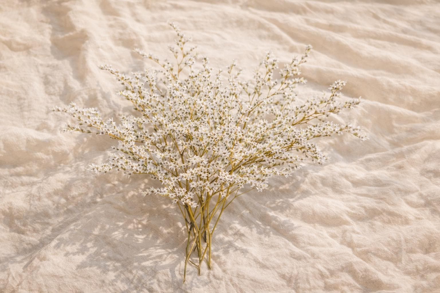 Stabilized Tatar Limonium | Natural Dried Flower 20–25 cm | Fluffy Branches for Bouquets, Home Decor & Candle Making